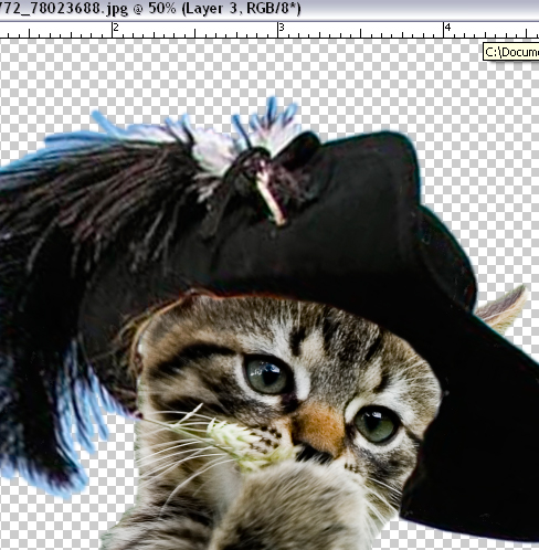 step13bpuss in boots