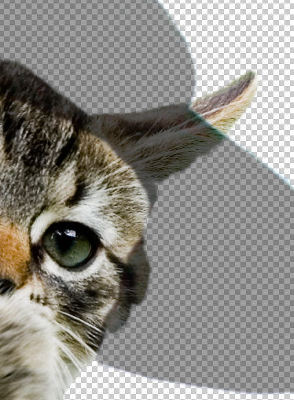 step15puss in boots