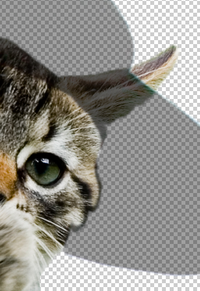 step16puss in boots