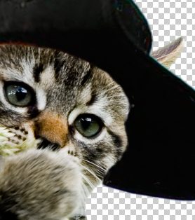 step17puss in boots