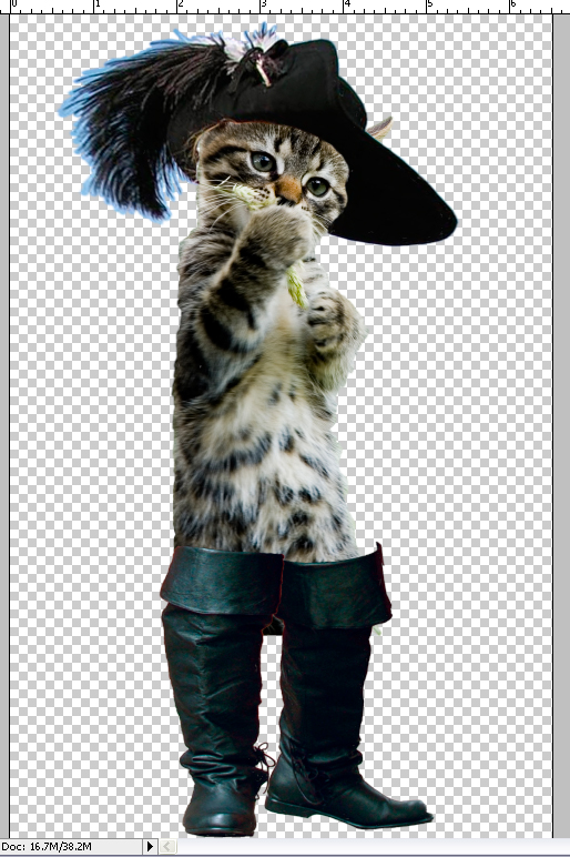 step23puss in boots