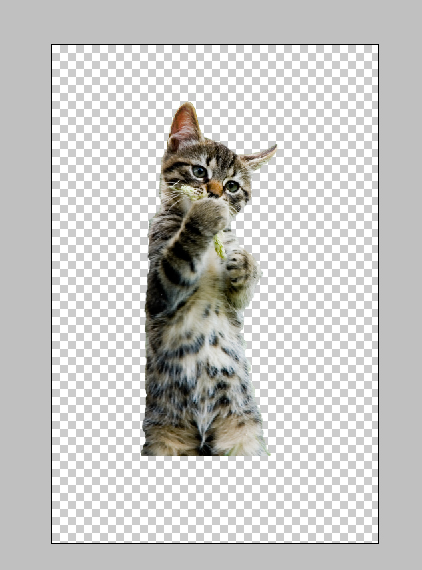 step9puss in boots